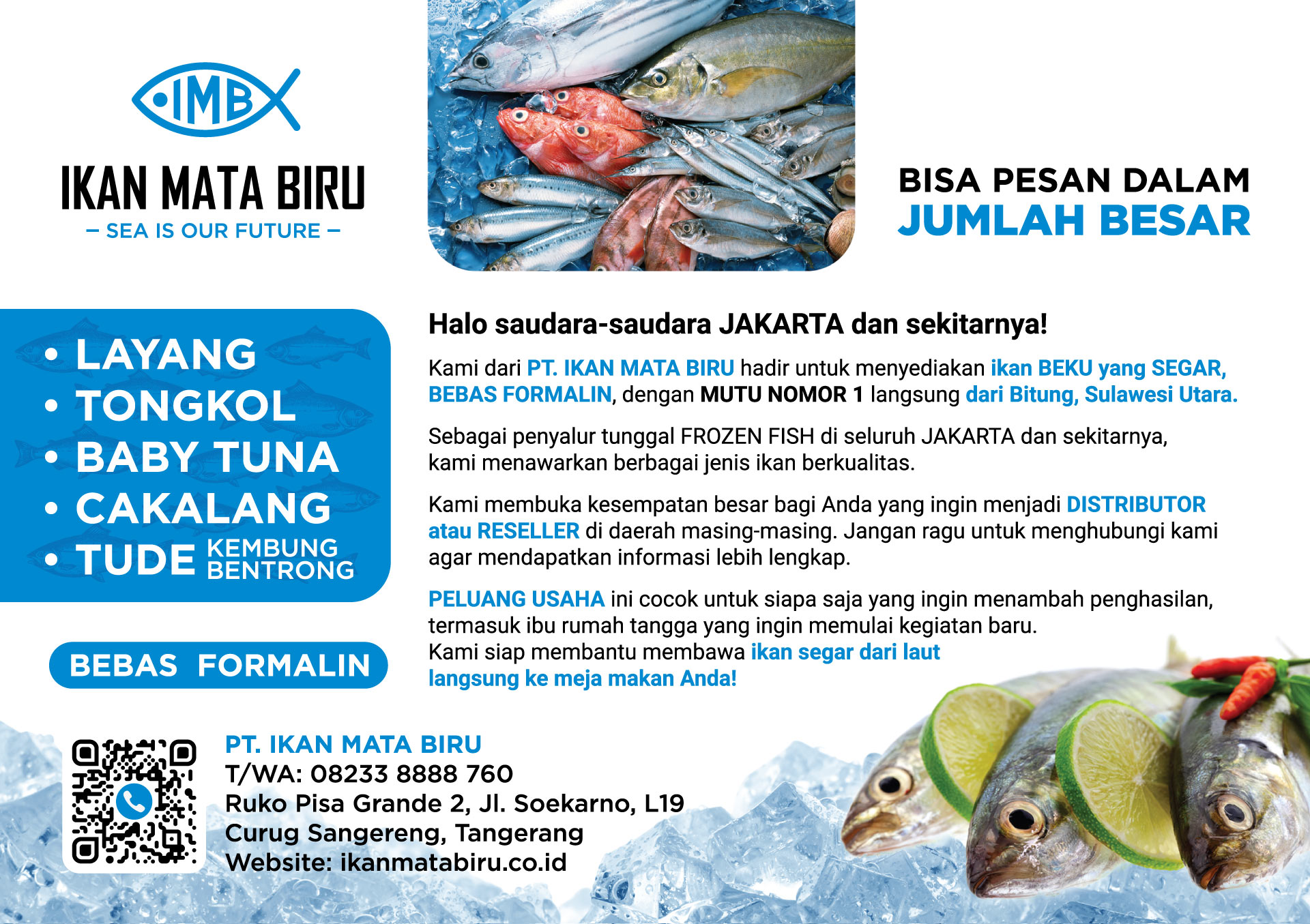 Beli ikan frozen Jakarta, Tangerang, Grosir